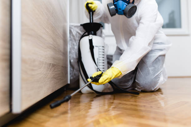 Best Mosquito Control Services  in Newbern, TN