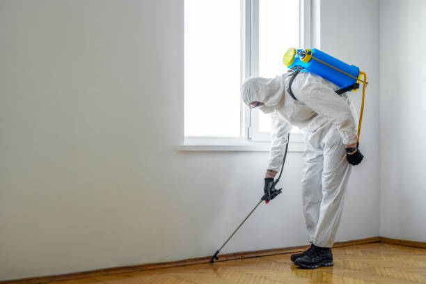 Best Best Pest Control Near Me  in Newbern, TN