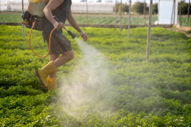 Best Ant Control Services  in Newbern, TN