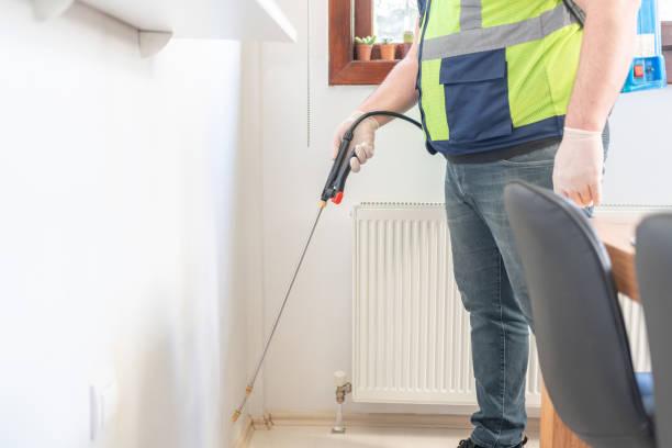 Professional Pest Control in Newbern, TN