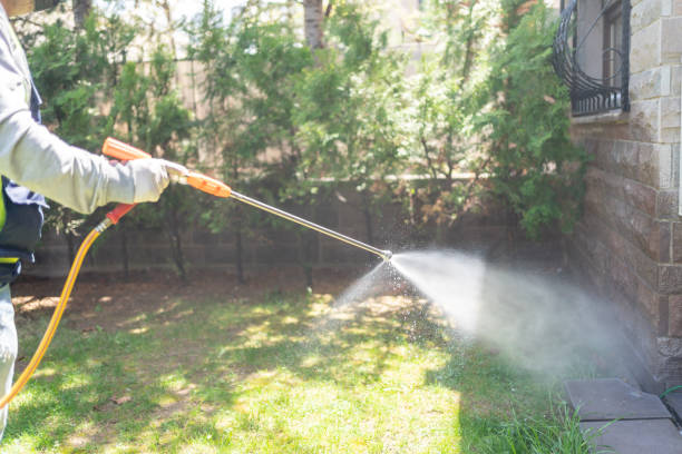 Best Insect Control  in Newbern, TN