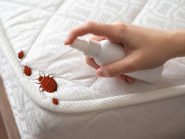Best Pest Control Near Me in Newbern, TN