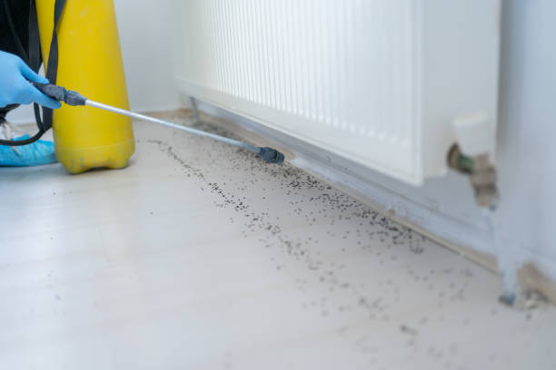 Best Commercial Pest Control Services  in Newbern, TN