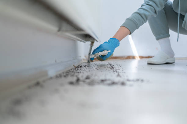 Best Wildlife Control Services  in Newbern, TN